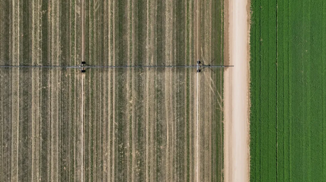 Overhead view of farm equipment watering crops