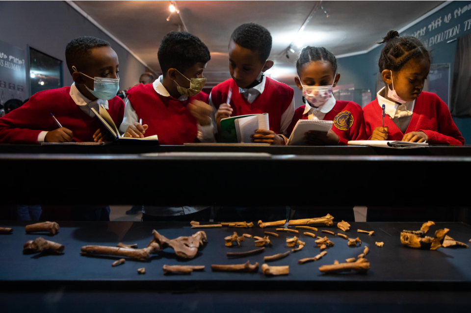 Children looking at the bones from an archeological dig